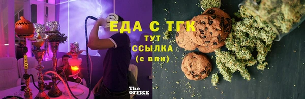 мдпв Краснослободск