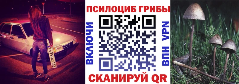 Купить где  Ейск  Псилоцибиновые грибы MAGIC MUSHROOMS 